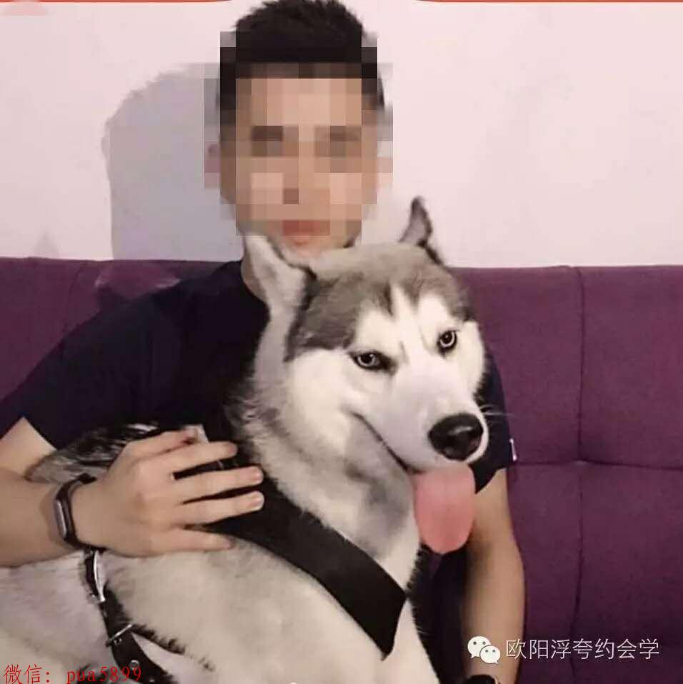 在qq上怎么追女生 第1张