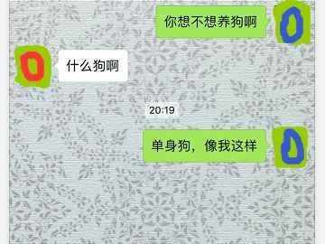 撩妹套路对话一问一答,学会了坐等女生倒追你 图20