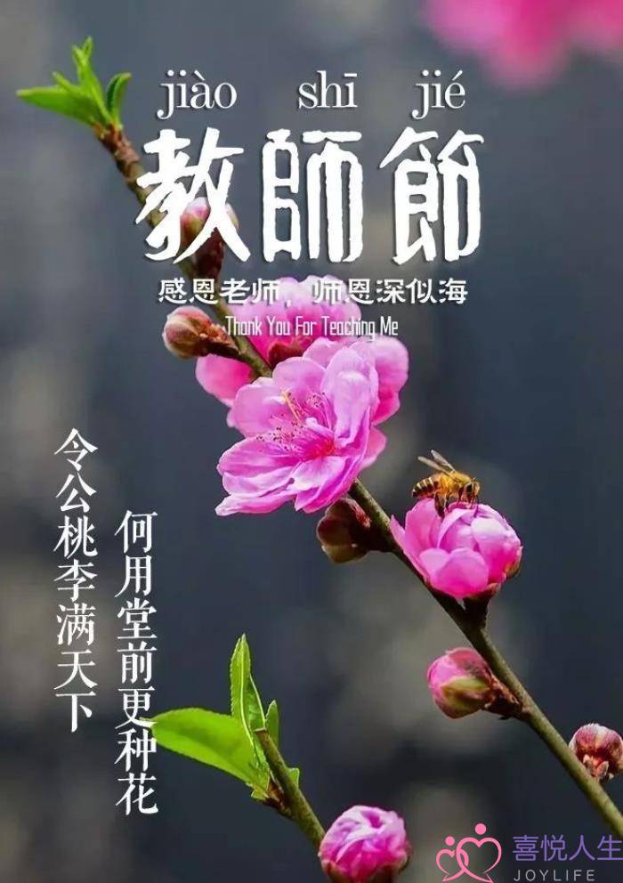 图片[5]-关于教师节的诗句（那些赞美老师的诗句）-喜悦人生