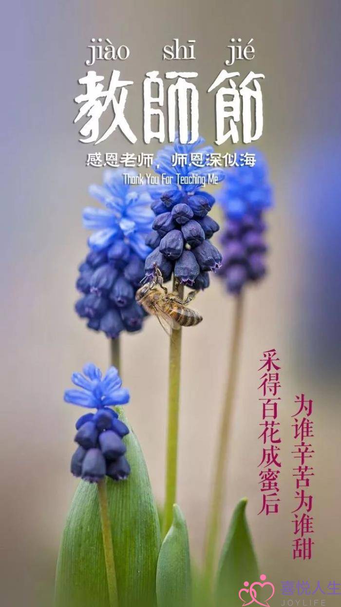 图片[13]-关于教师节的诗句（那些赞美老师的诗句）-喜悦人生