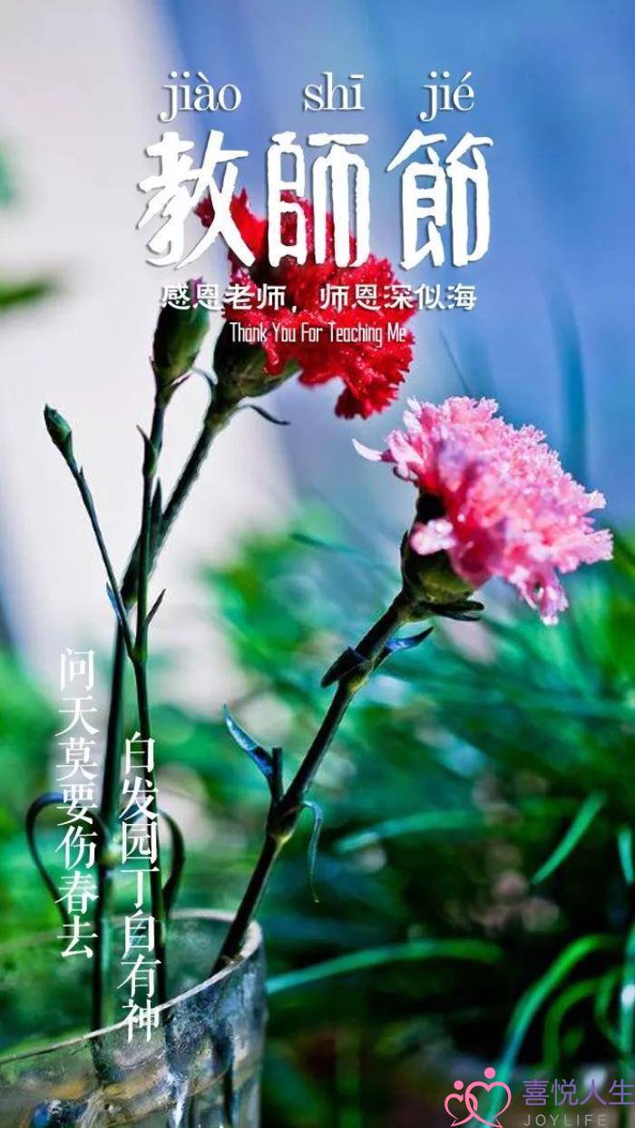 图片[27]-关于教师节的诗句（那些赞美老师的诗句）-喜悦人生