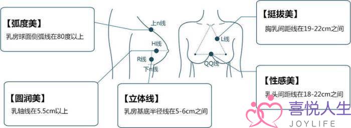 图片[4]-女生标准三围对照表，自测是否达到完美胸型黄金标准-喜悦人生