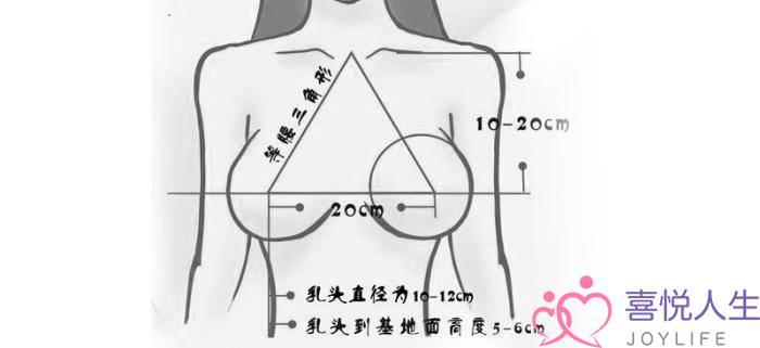 图片[3]-女生标准三围对照表，自测是否达到完美胸型黄金标准-喜悦人生