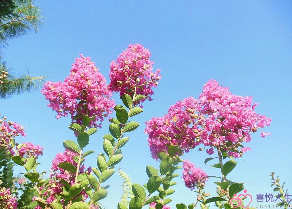 不吃“回头草”的星座，一旦分开很难再复合，不要轻易说分手